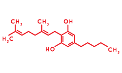 CBG Molecule