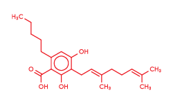 CBGa Molecule