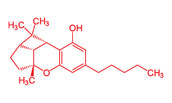 CBL molecule